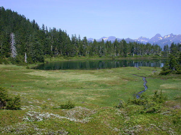 Baby bear lake