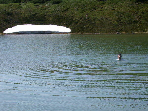 Snowy swim