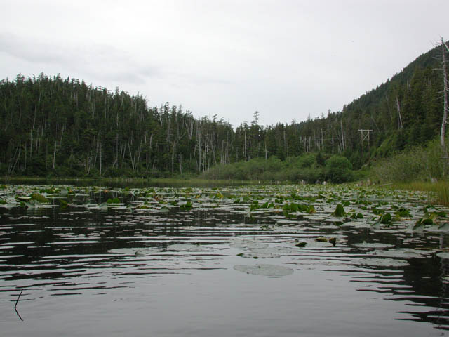 Heart Lake (49708 bytes)