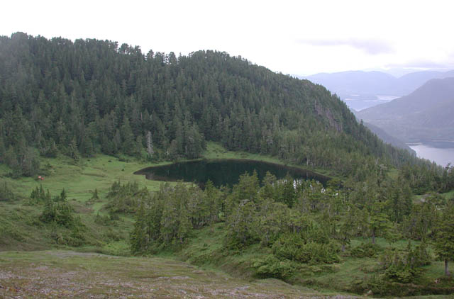 Looking Back Down on Baby Bear Lake (43214 bytes)