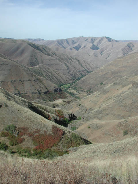 Looking Down Towards Horse Creek Road (53860 bytes)