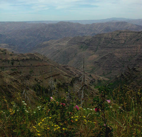 Canyon Lands in Northeast Oregon (43813 bytes)