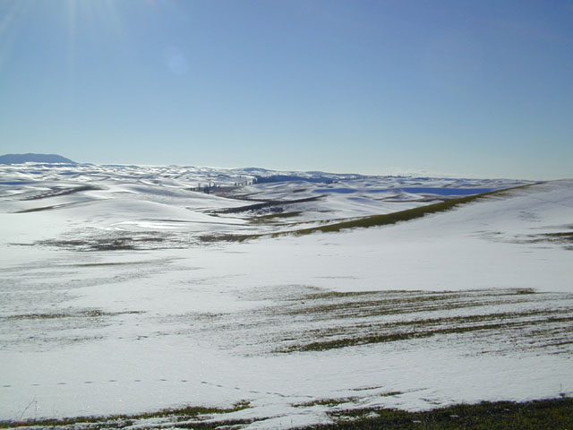 View From Kriebel Road