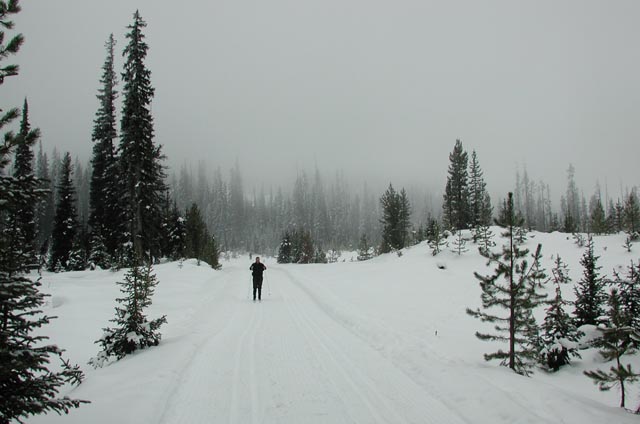 Skiing at Lolo Pass (42290 bytes)