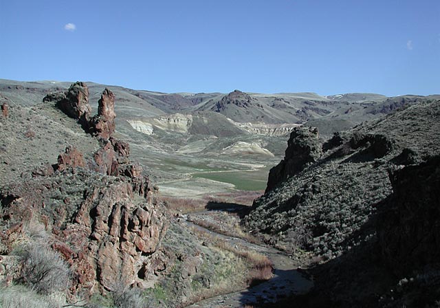 Succor Creek Canyon II (87596 bytes)