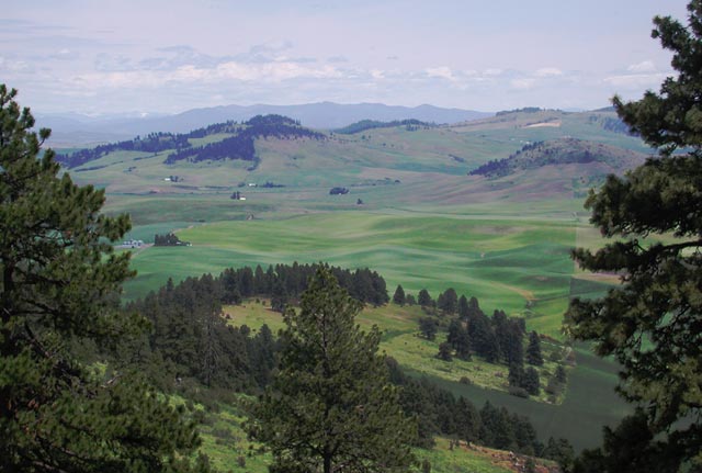 Looking East From Kamiak Butte (49033 bytes)