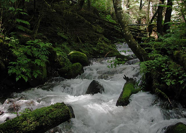 Stream 1 (78638 bytes)