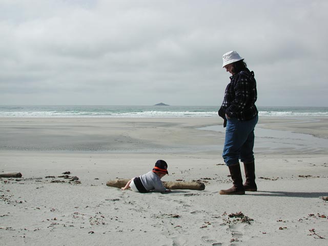 Connor Plays by a Driftwood Log (36129 bytes)