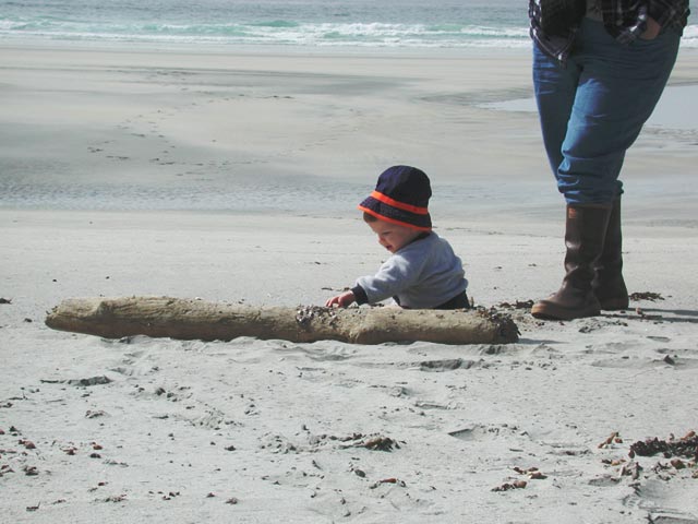 Connor Takes a look at Gooseneck Barnacles (51380 bytes)