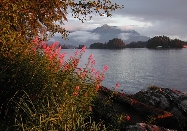 Sitka National Historical Park, Sitka, Alaska (76225 bytes)