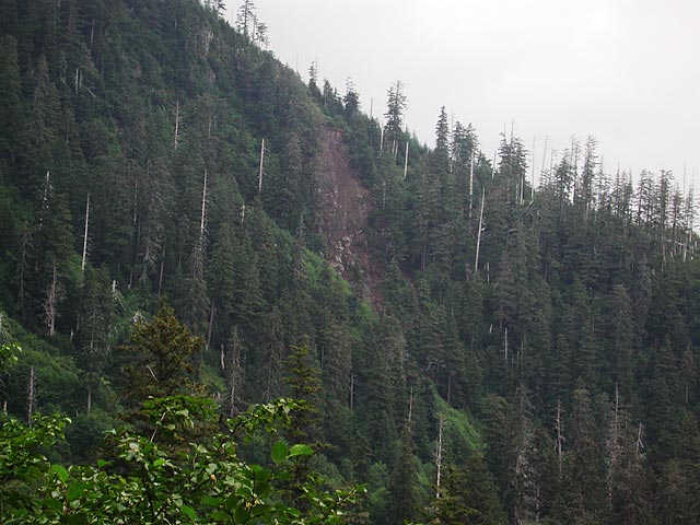 Landslide (68475 bytes)