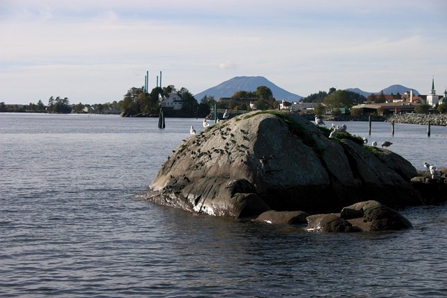 Birds on Sage Rock (65063 bytes)