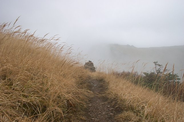 A Trailside Cairn (60647 bytes)