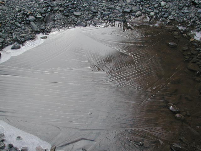 Puddle Ice Patterns (59707 bytes)