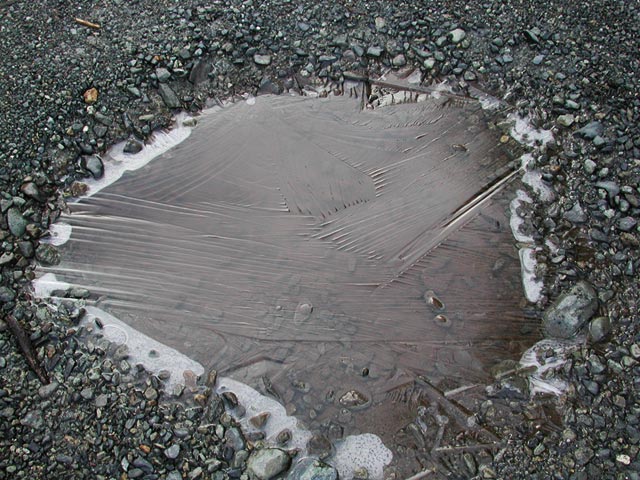 Puddle Ice (91667 bytes)