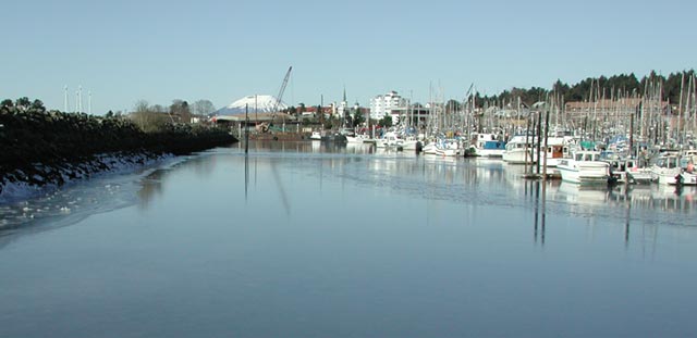 Iced Up Harbor I (25713 bytes)