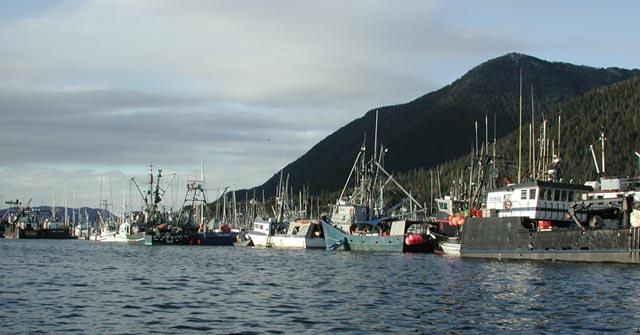 Herring Boats (41751 bytes)