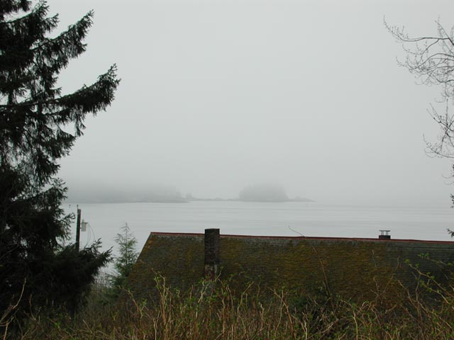 Fog (40402 bytes)