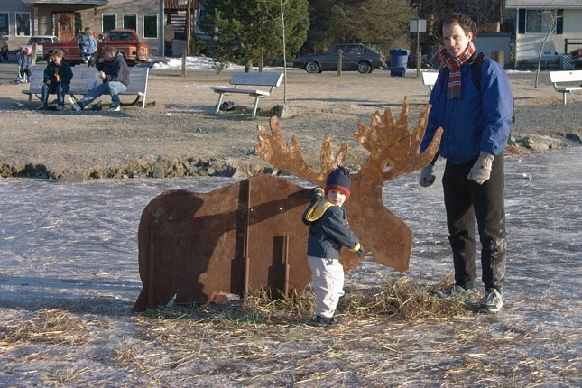 Connor and His Uncle Visit the Swan Lake Moose (96005 bytes)