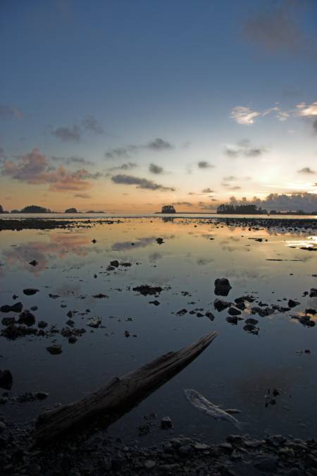 Tidepool at Sunset (31424 bytes)