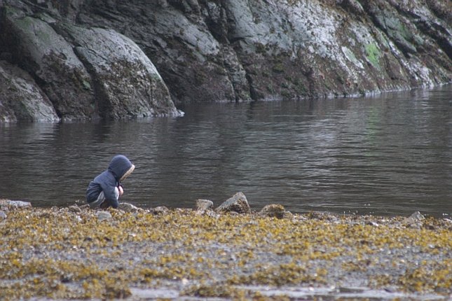 Connor at Mosquito Cove (83842 bytes)