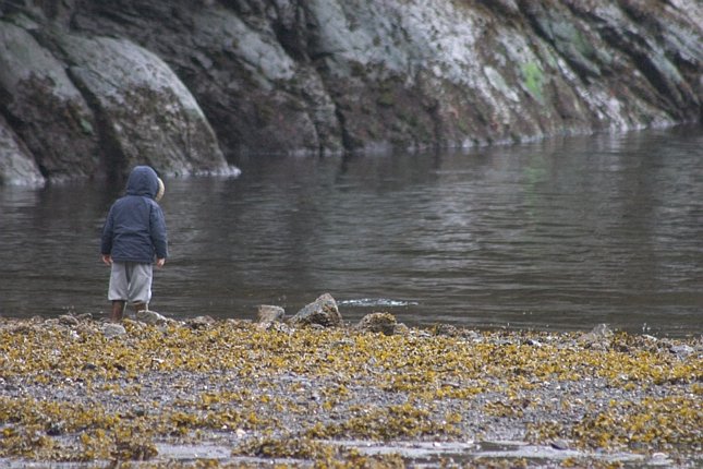 Connor at Mosquito Cove (83047 bytes)