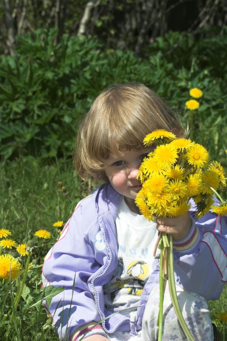 Rowan Picking Dandelions (85884 bytes)