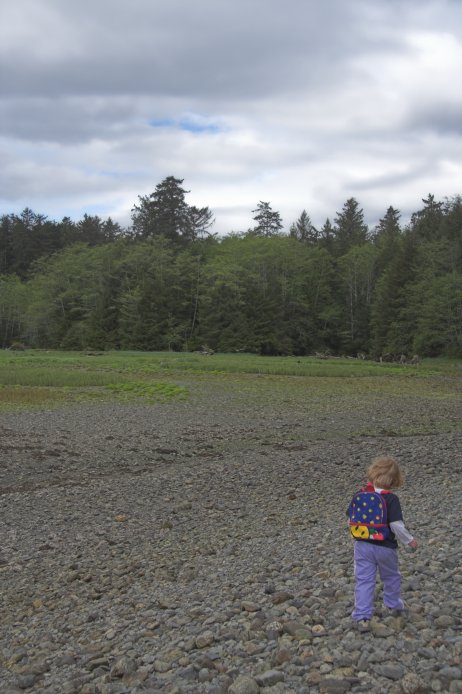 Rowan on the Beach (72638 bytes)