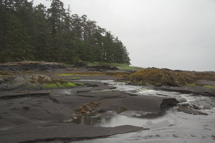 Beach Scene (60187 bytes)