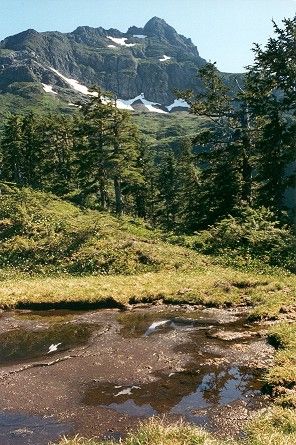 Verstovia Peak from North (54k)