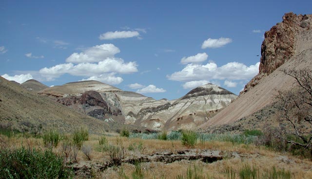 Owyhee Breaks (66884 bytes)