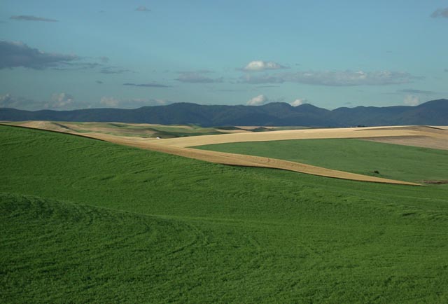 Looking Northwest from Jennings Road (55089 bytes)