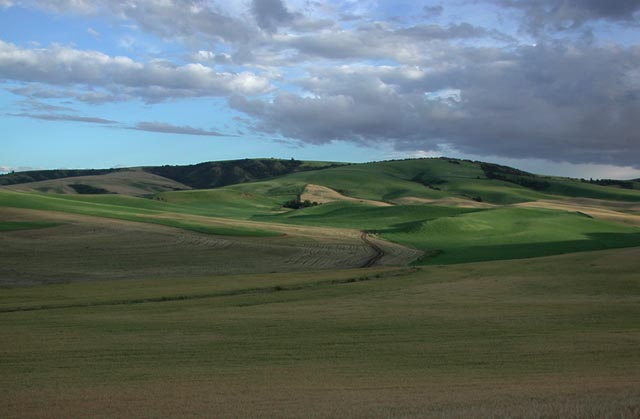 Looking South from Snow Road (49317 bytes)