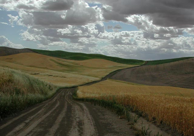 Looking West on Enos Road (64207 bytes)