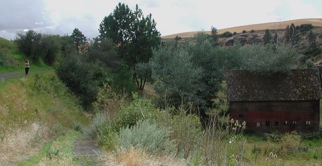 Melissa Photographing a Barn (66650 bytes)