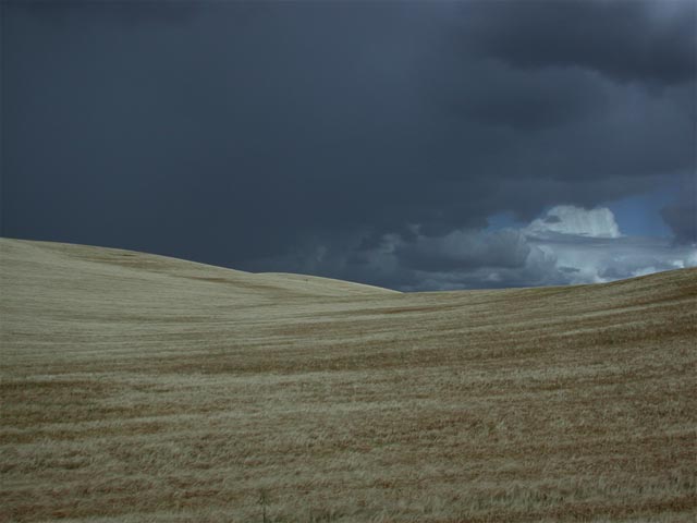 Grain Under Heavy Skies (50843 bytes)