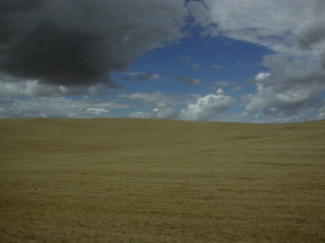 Grain Under Clearing Skies (47861 bytes)