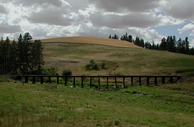 Railroad Bridge Over South Fork of the Palouse River (66804 bytes)