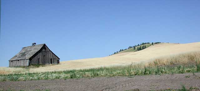 Old Barn Near Ladow Butte (16356 bytes)