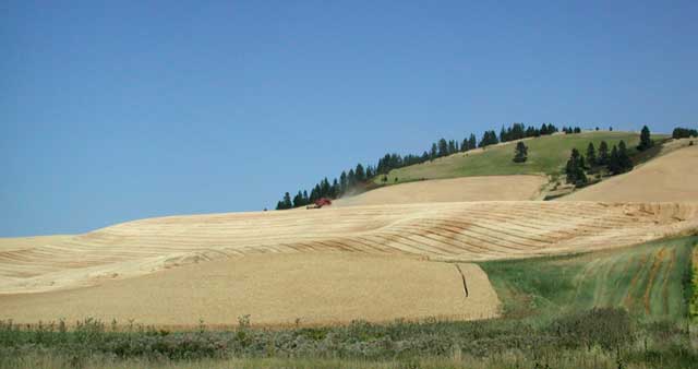 Harvest Ladow Butte (16746 bytes)