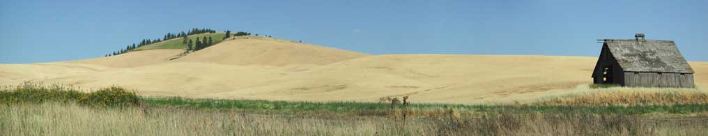 Ladow Butte Panorama (18451 bytes)